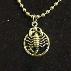 Scorpion necklace on 18 inch chain